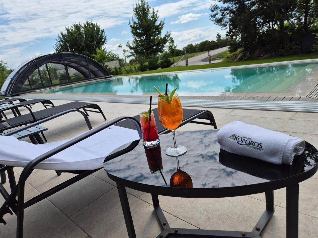 Négycsillagos wellness a Tokaji borvidéken - 1