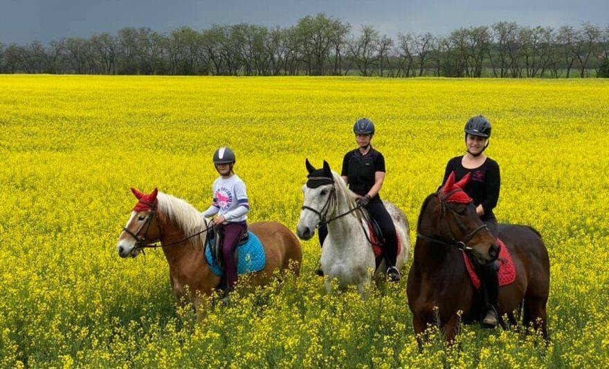 Airport Ranch élménylovaglás - 1