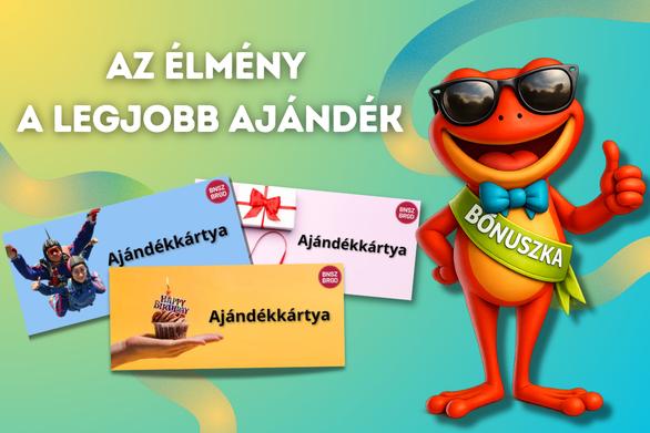 Bónusz Brigád akciós élmények - 1